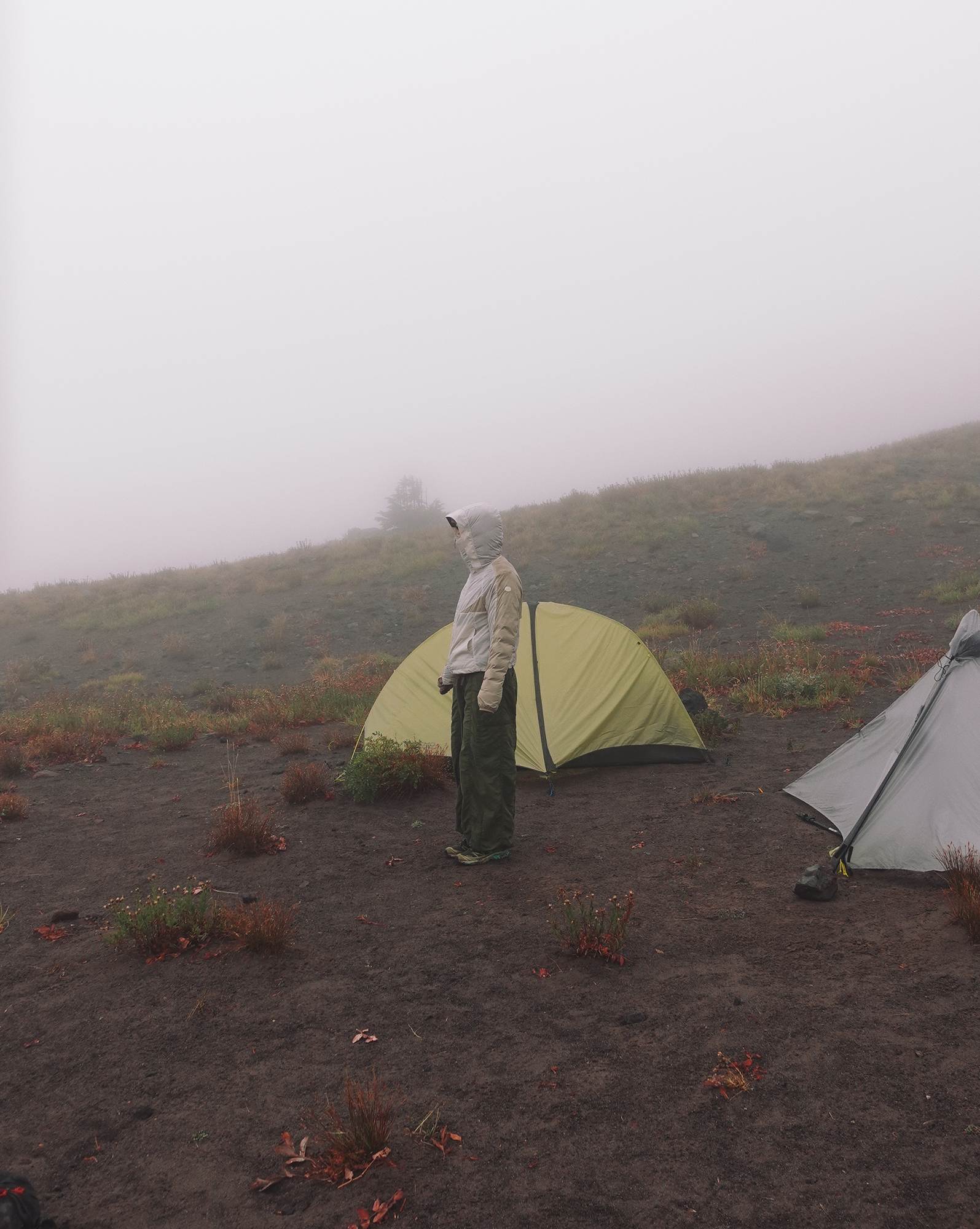 2026 06 25 : Mt. Hood Womens Backpacking