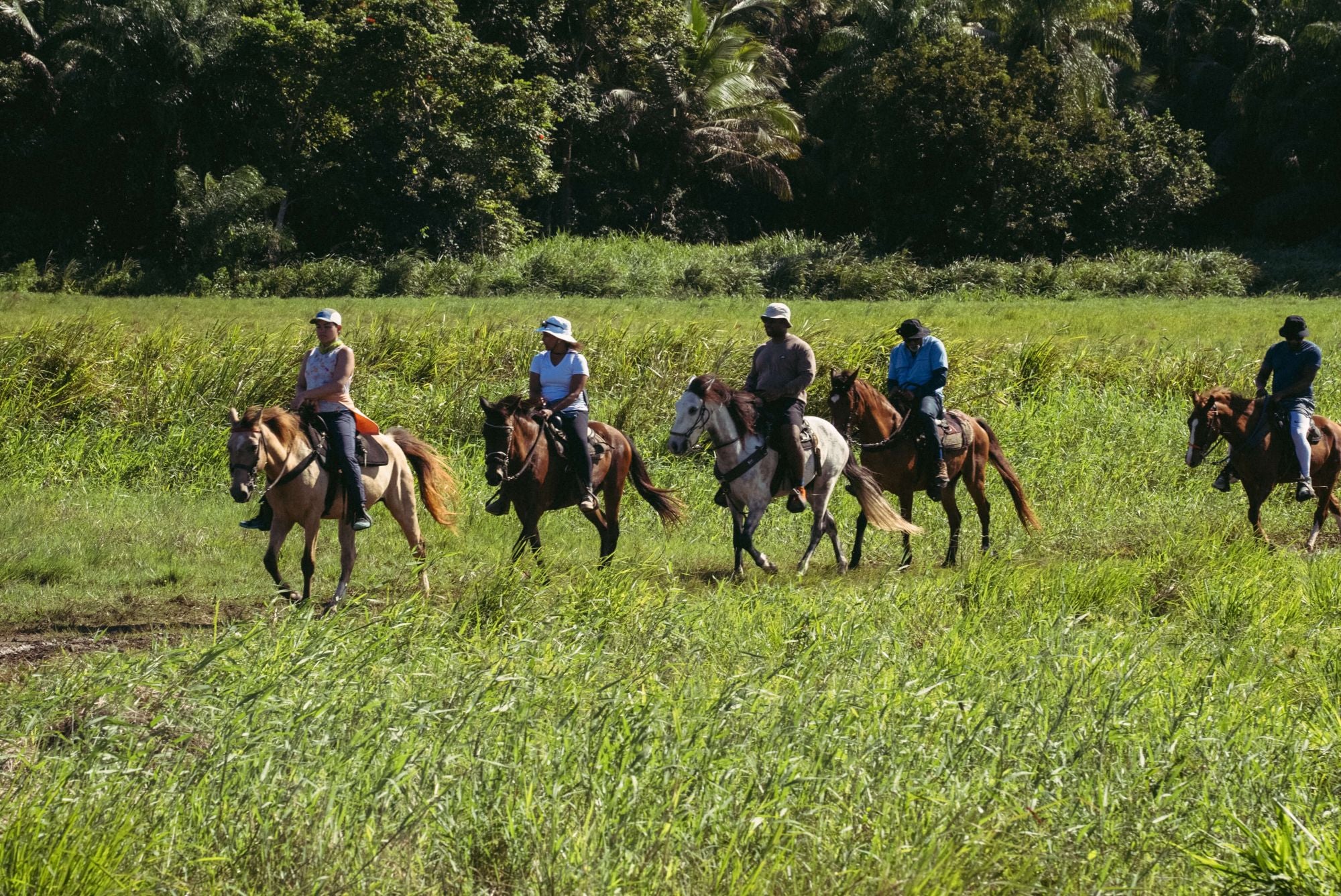 2026 01 18 : San Juan