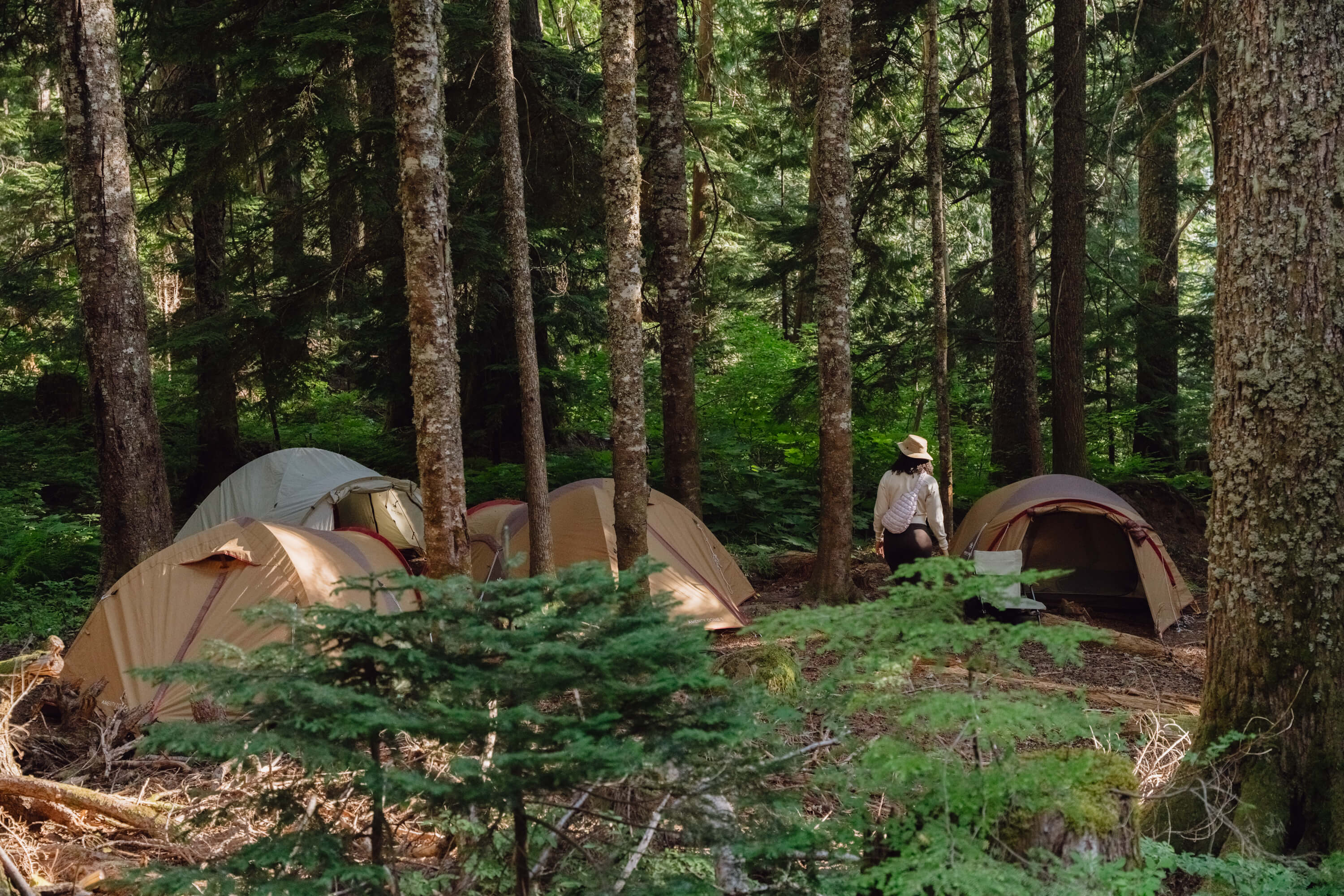 2026 07 02 : Mount Hood TTN