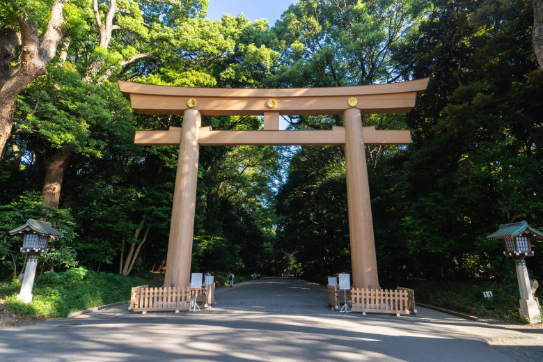 2026 05 01 : The Japanese Alps