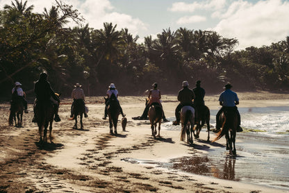 2026 01 18 : San Juan