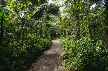 2026 01 18 : San Juan