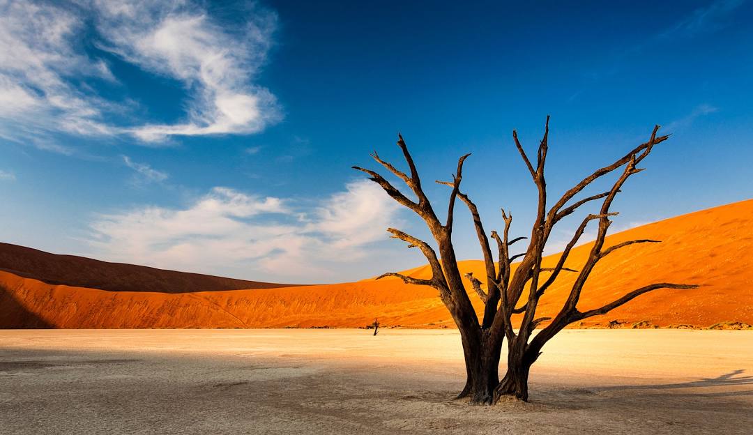 2026 11 11 : Desert Drift