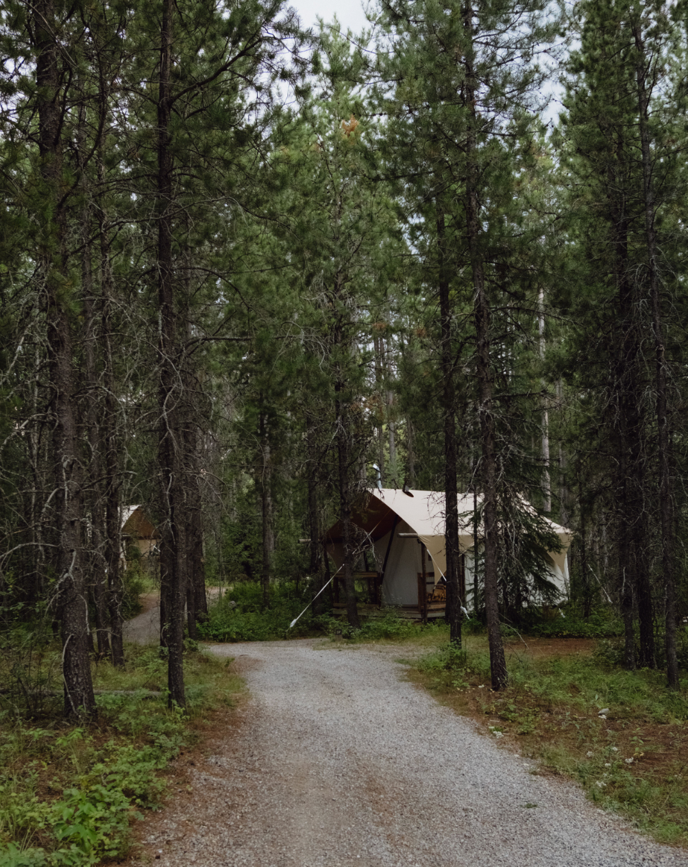 2026 08 16 : Montana