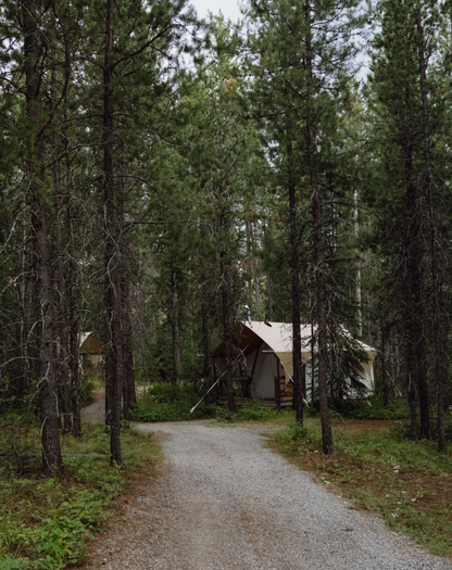 2026 08 16 : Montana