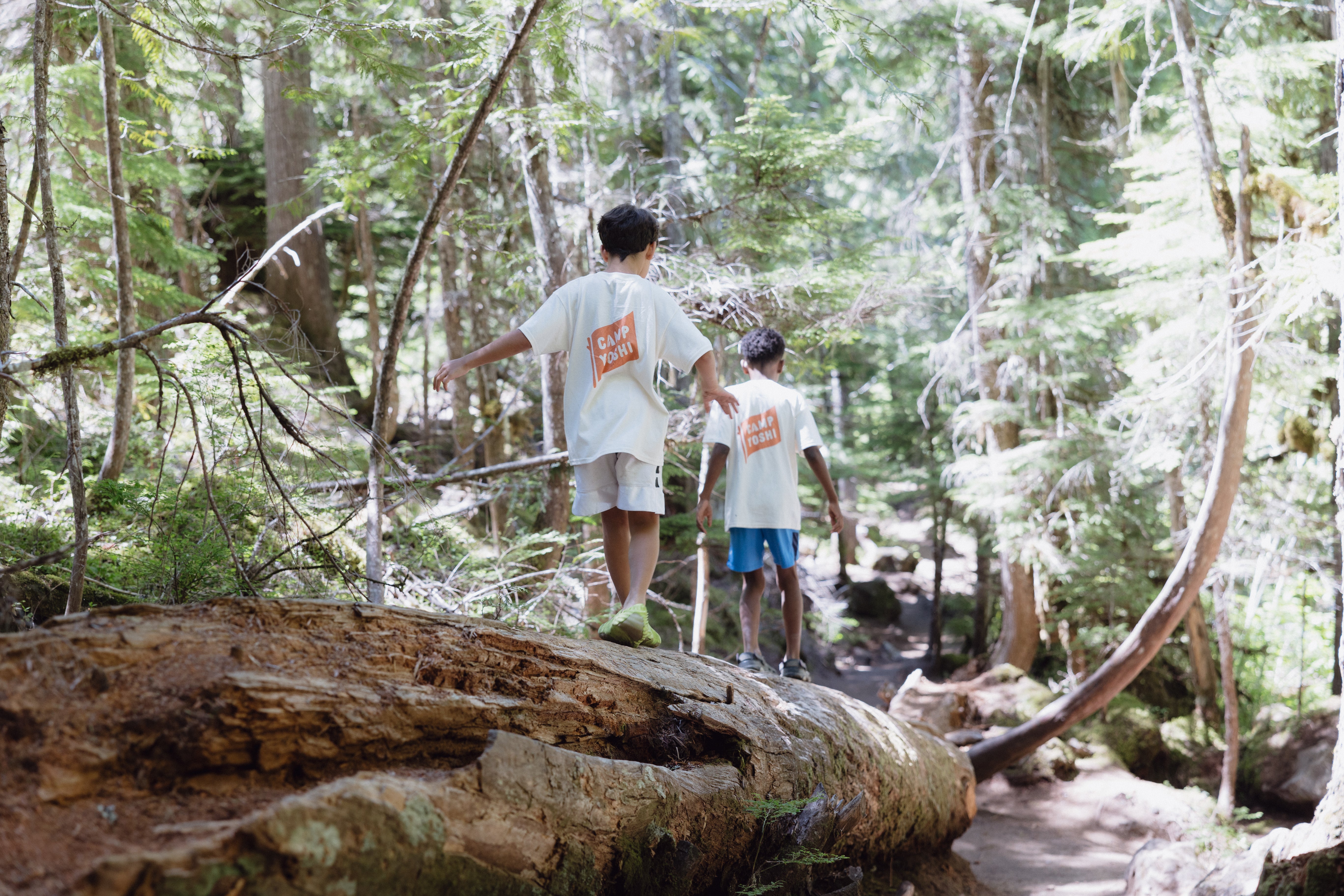 2026 06 29 : TTN Families